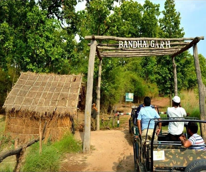 Bandhavgarh Safari Booking