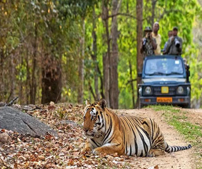 Bandhavgarh Jungle Jeep Safari