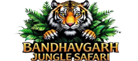 Bandhavgarh Jungle Safari