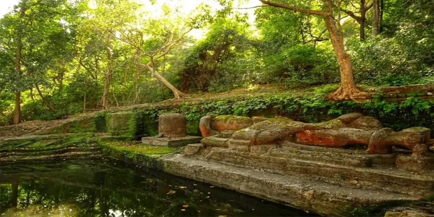 Shesh Shaiya Vishnu Statue Bandhavgarh